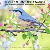 Suoni calmanti della natura (senza musica) per un sonno profondo, meditazione, rilassamento