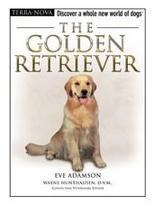 The Golden Retriever