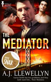 The Mediator