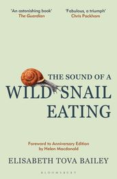 The Sound of a Wild Snail Eating