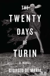 The Twenty Days of Turin: A Novel