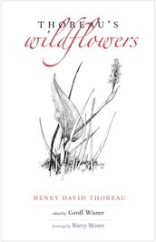 Thoreau s Wildflowers