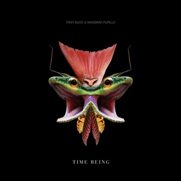 Time being - TONY/PUPILLO  BUCK