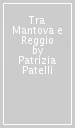 Tra Mantova e Reggio