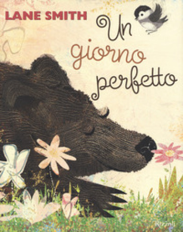 Un giorno perfetto - Lane Smith