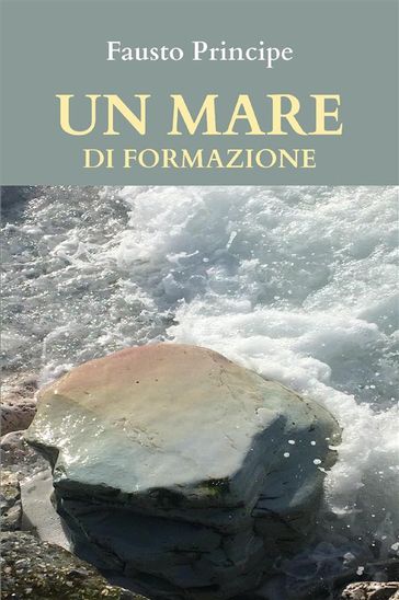 Un mare di formazione - Fausto Principe