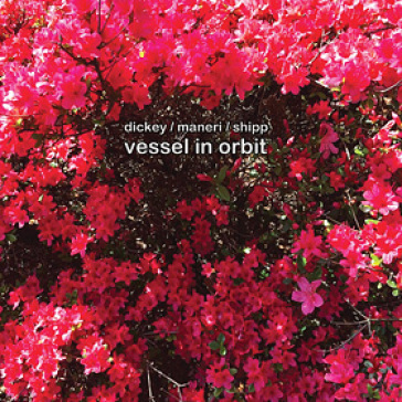 Vessel in orbit - DICKEY/MANERI