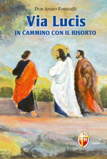 Via lucis. In cammino con il risorto - Arturo Femicelli