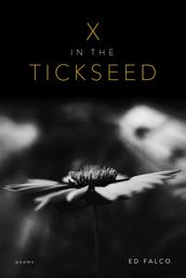 X in the Tickseed