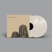 Yankee hotel foxtrot (20th anniversary d