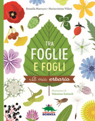 Tra foglie e fogli. Il mio erbario. Ediz. a spirale - Rossella Marcucci - Mariacristina Villani