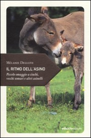 Il ritmo dell'asino. Piccolo omaggio a ciuchi, vecchi somari e altri asinelli - Mélanie Delloye