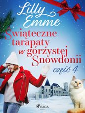 witeczne tarapaty w górzystej Snowdonii - cz 4